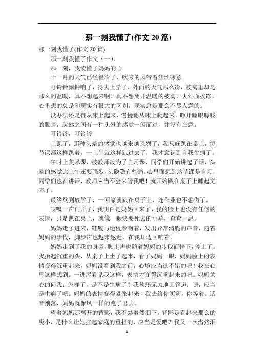 那一刻我懂了(作文20篇)