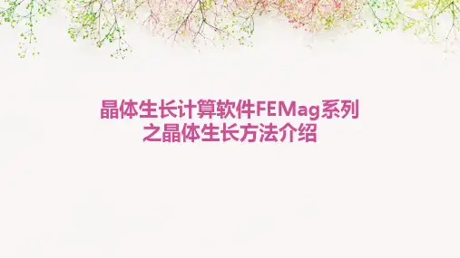晶体生长计算软件FEMAG系列之晶体生长方法介绍
