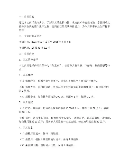 西瓜栽培实训报告