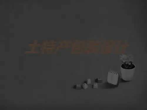 浙美版初中美术 2.土特产包装设计 课件