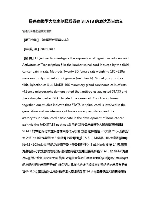 骨癌痛模型大鼠患侧腰段脊髓STAT3的表达及其意义