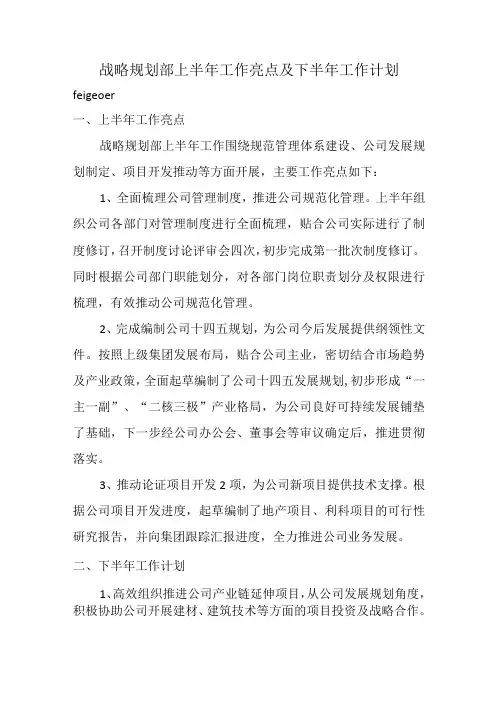 规划部上半年工作亮点及下半年工作计划