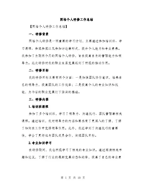 国培个人研修工作总结（4篇）