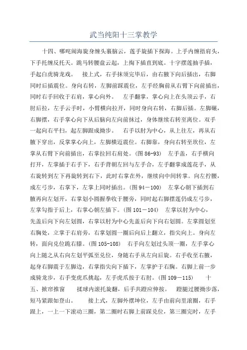 武当纯阳十三掌教学