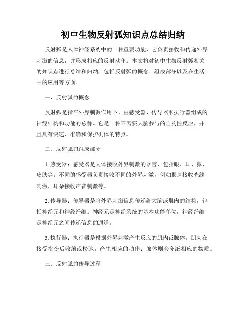 初中生物反射弧知识点总结归纳