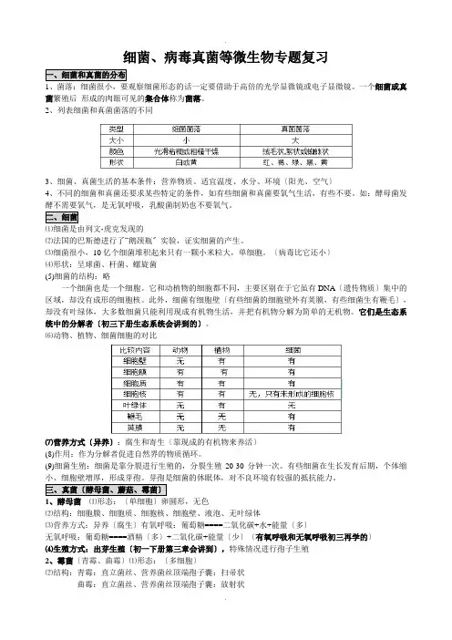 细菌、病毒及真菌等微生物专题复习教案