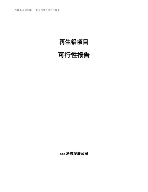 再生铝项目可行性报告 (1)