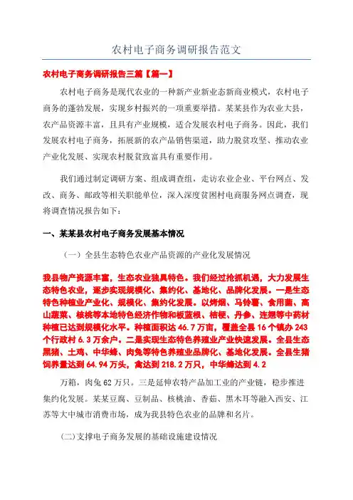 农村电子商务调研报告范文