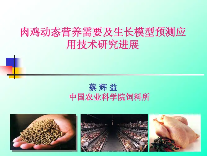 蔡辉益-肉鸡动态模型