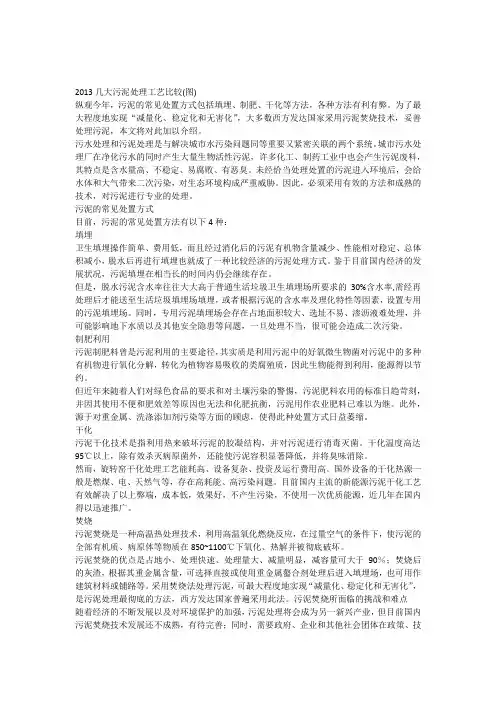 2013几大污泥处理工艺比较(图)