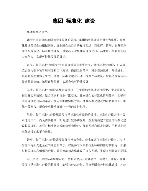 集团 标准化 建设