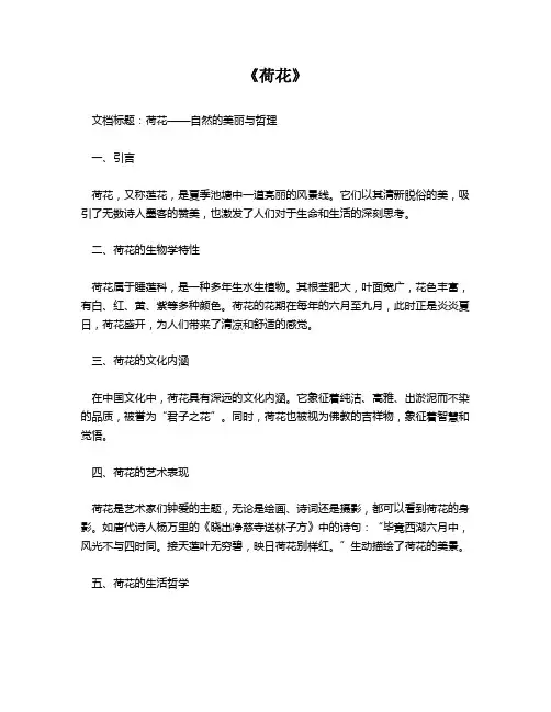 《荷花》资料