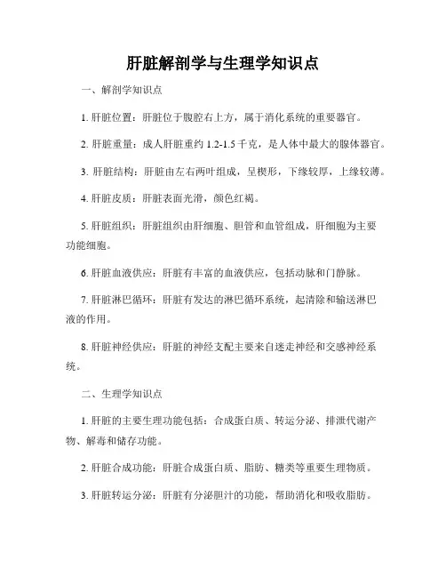 肝脏解剖学与生理学知识点