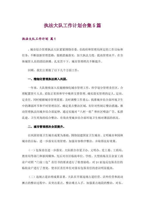 执法大队工作计划合集5篇