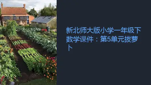 新北师大版小学一年级下数学课件：第5单元拔萝卜