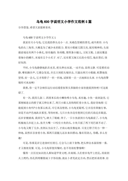乌龟600字说明文小学作文范例5篇