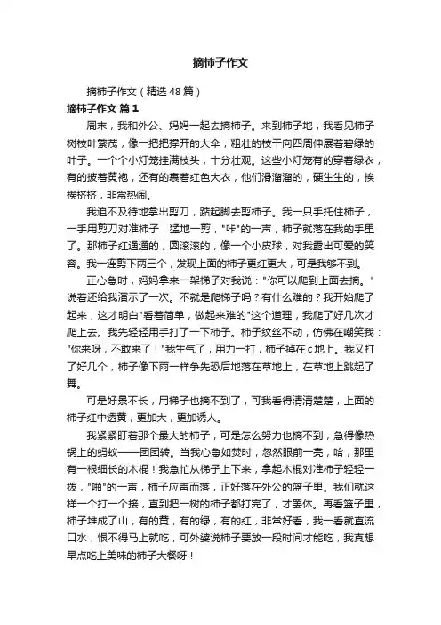 摘柿子作文（精选48篇）
