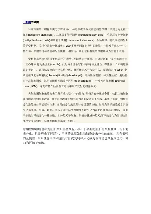 干细胞的分类