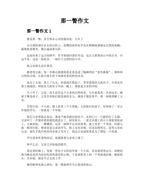 那一瞥作文