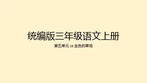 16 金色的草地   课件(共30张PPT)