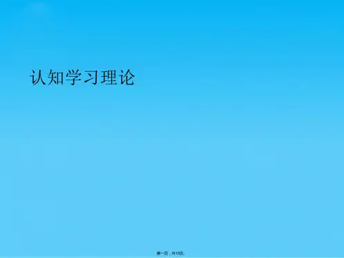 认知学习理论 (共15张PPT)