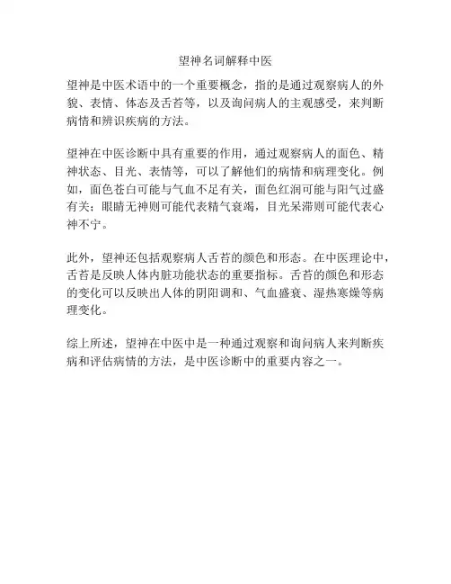 望神名词解释中医