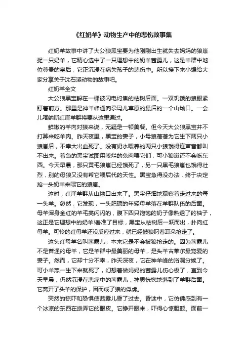 《红奶羊》动物生产中的悲伤故事集
