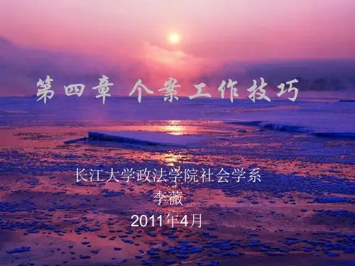 《个案工作》4讲