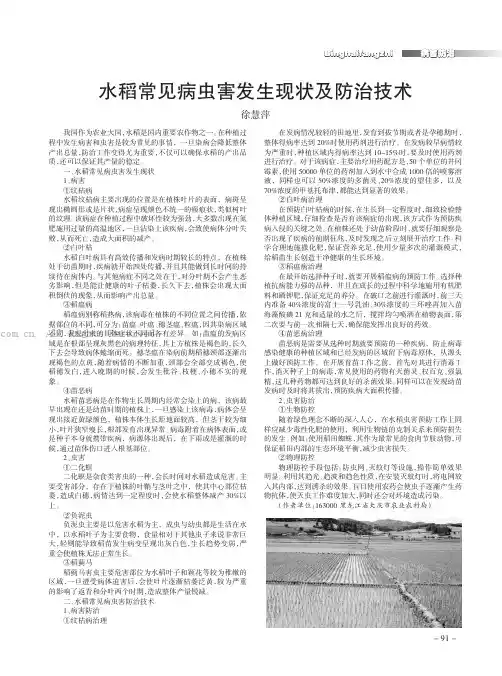 水稻常见病虫害发生现状及防治技术