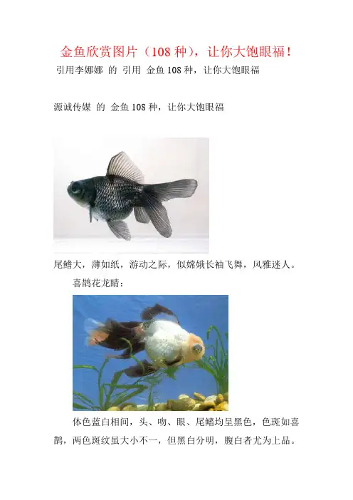 金鱼欣赏图片108种,让你大饱眼福