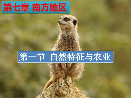 人教版八年级下册地理 自然特征与农业 课件 精品PPT(共16张PPT)