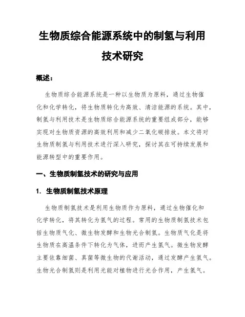 生物质综合能源系统中的制氢与利用技术研究