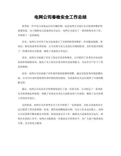 电网公司春检安全工作总结