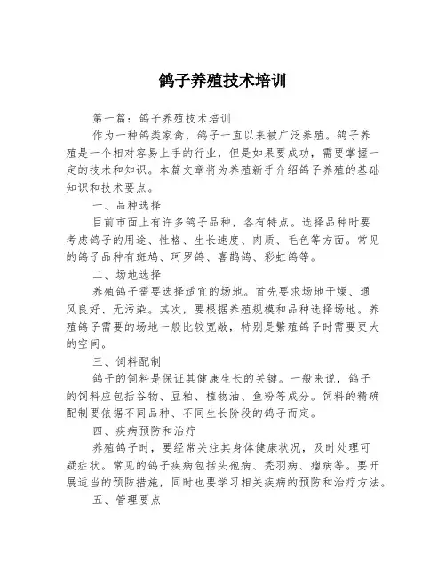 鸽子养殖技术培训