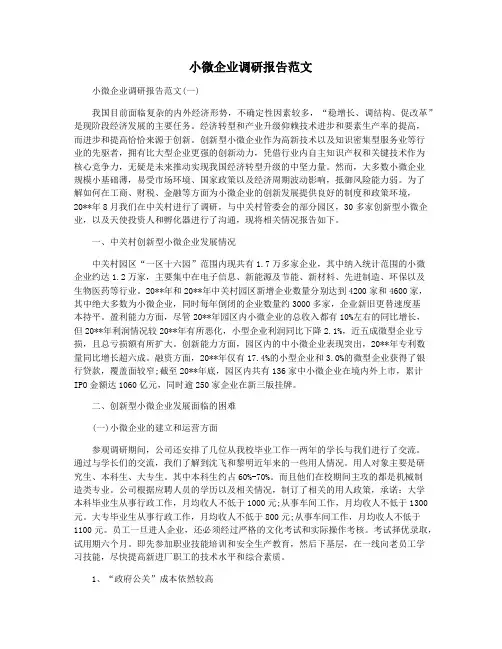 小微企业调研报告范文