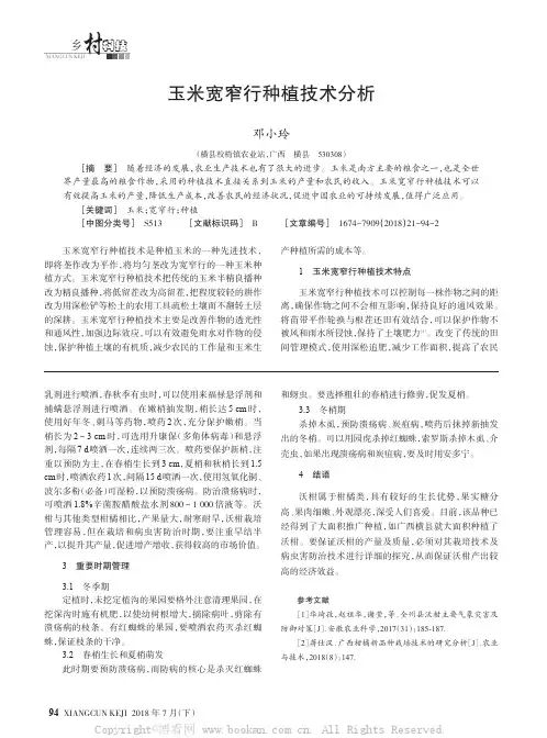玉米宽窄行种植技术分析