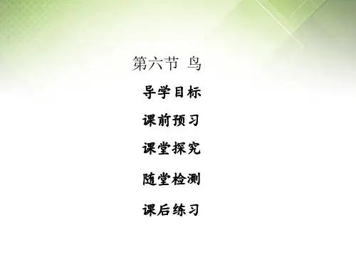 人教版八年级生物上册课件第一章  第六节 鸟 (共26张PPT)