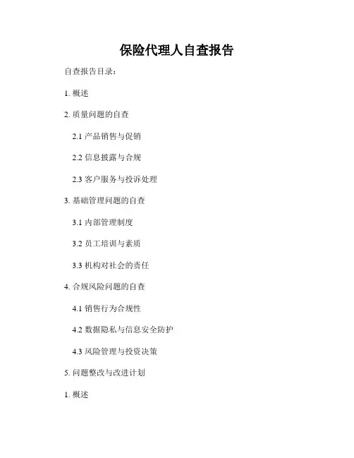 保险代理人自查报告