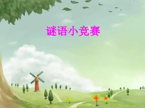 数学谜语 ppt课件
