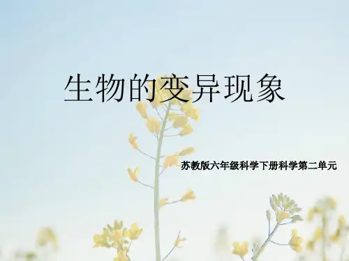六年级下册科学_生物的变异现象苏教版(23张)精品课件