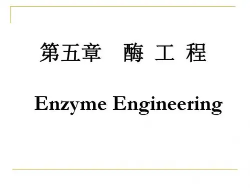 生物技术概论_酶工程