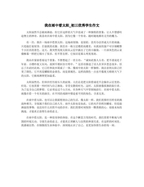 我在雨中看太阳_初三优秀学生作文