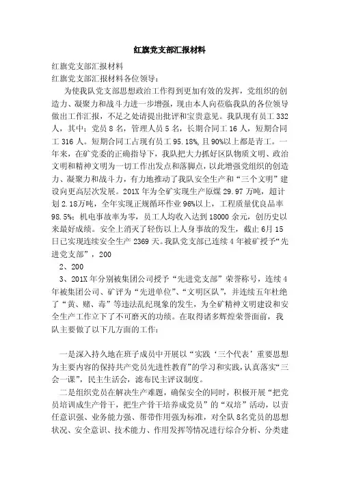 红旗党支部汇报材料（范文）