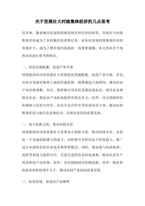 关于发展壮大村级集体经济的几点思考