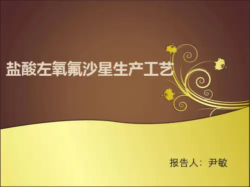 左氧氟沙星.尹敏 (2)
