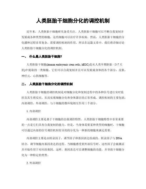 人类胚胎干细胞分化的调控机制