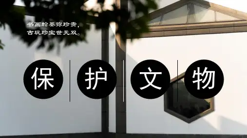 《保护文物》课件