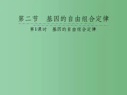 高中生物 第三章 遗传和染色体第3节《基因的自由组合定律》第1课时复习课件 苏教版必修2