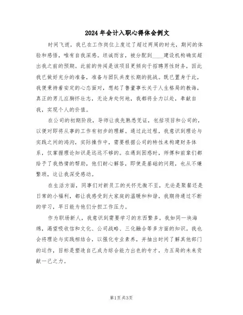2024年会计入职心得体会例文（二篇）