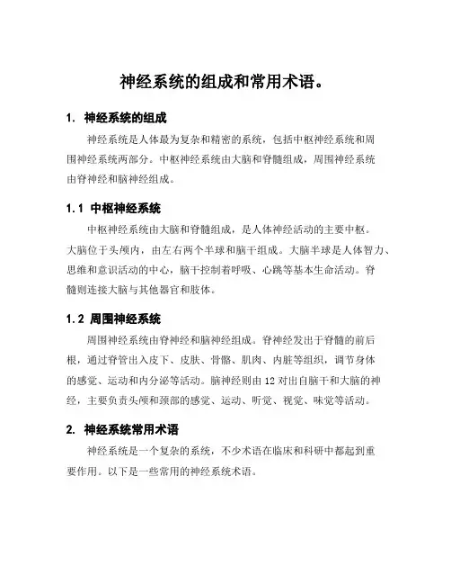 神经系统的组成和常用术语。